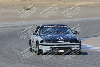 media/Nov-04-2023-CalClub SCCA (Sat) [[cb7353a443]]/Group 2/Cotton Corners (Race)/